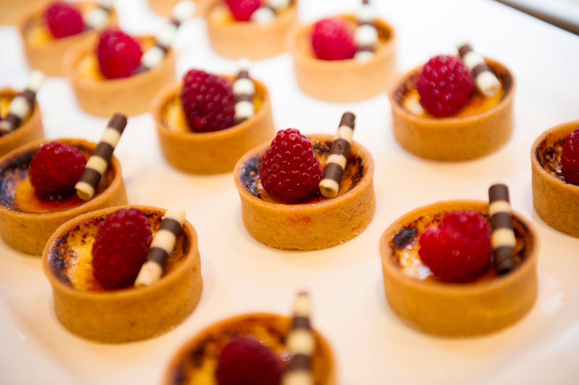 Rows of fresh berry tarts